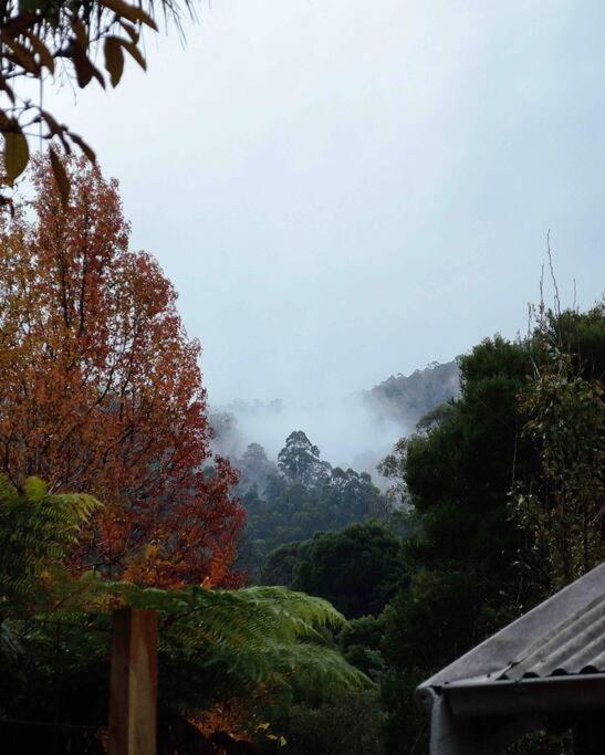 Harrys House Warburton - Peaceful Riverside Cottage In The Perfect Location ภายนอก รูปภาพ